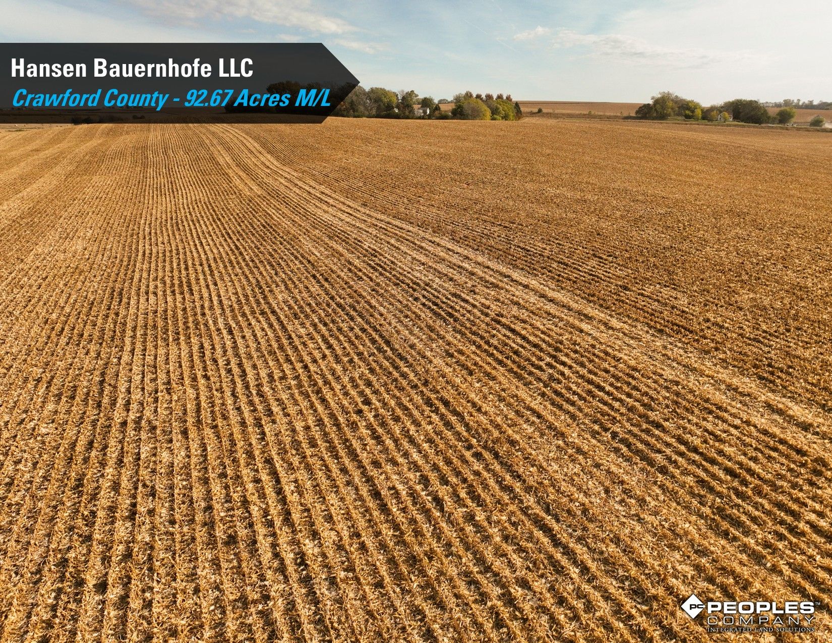 Listing Photo: Crawford-County-Iowa-Farmland-Auction-92.67-Acres-Bevis-Family-Trust-Two-Tracts (14)
